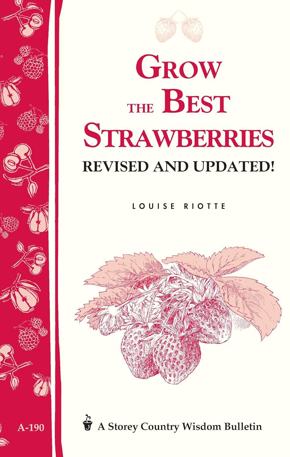 Best Strawberries: Country Wisdom vs Tested Methods... Surprising Results!
